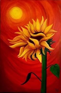 sunflower